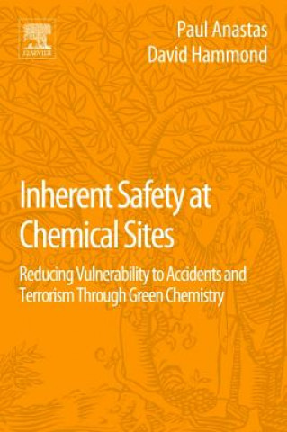 Kniha Inherent Safety at Chemical Sites Paul Anastas