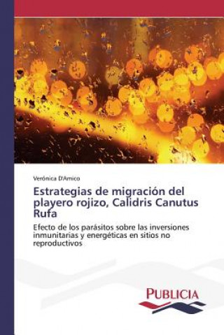 Libro Estrategias de migracion del playero rojizo, Calidris Canutus Rufa D'Amico Veronica