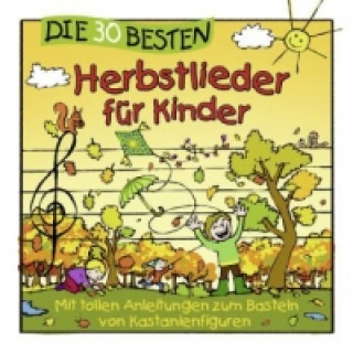 Audio Die 30 besten Herbstlieder für Kinder, 1 Audio-CD Simone Sommerland