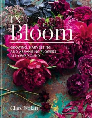 Carte In Bloom Clare Nolan