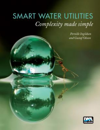 Knjiga Smart Water Utilities Pernille Ingildsen