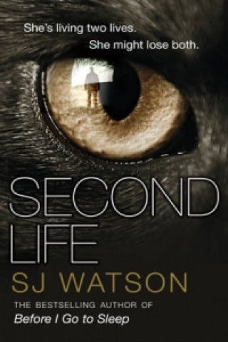 Kniha Second Life S. J. Watson