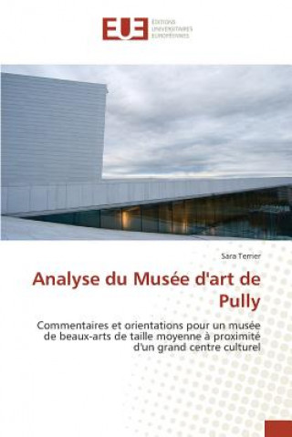 Carte Analyse du Musee d'art de Pully Terrier Sara