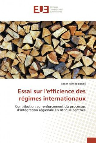 Kniha Essai sur l'efficience des regimes internationaux Bouoli Roger Wilfried