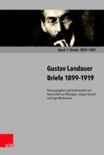 Carte Briefe 1899-1919, 6 Teile Gustav Landauer