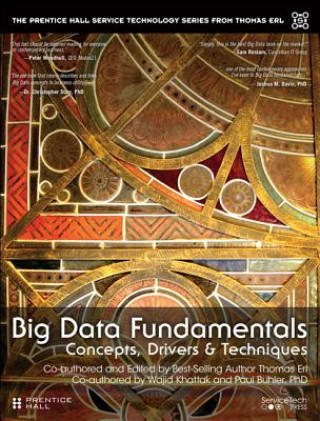Carte Big Data Fundamentals Thomas Erl