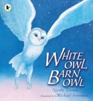 Carte White Owl, Barn Owl Nicola Davies