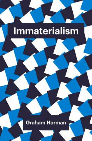 Kniha Immaterialism G. Harman