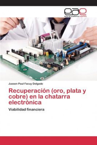Kniha Recuperacion (oro, plata y cobre) en la chatarra electronica Facuy Delgado Jussen Paul