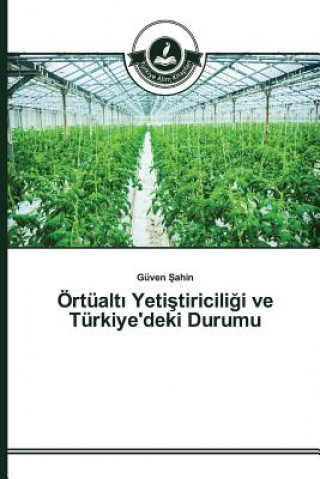 Könyv OErtualt&#305; Yeti&#351;tiricili&#287;i ve Turkiye'deki Durumu Ahin Guven
