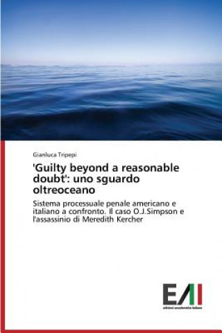 Kniha 'Guilty beyond a reasonable doubt' Tripepi Gianluca