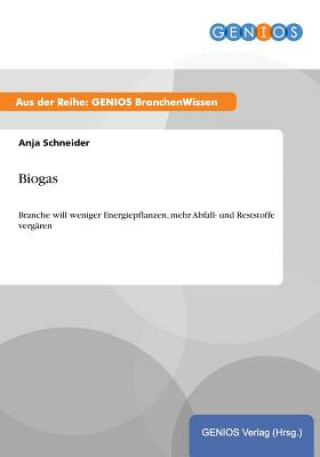 Kniha Biogas Anja Schneider