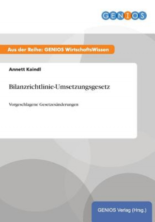 Könyv Bilanzrichtlinie-Umsetzungsgesetz Annett Kaindl
