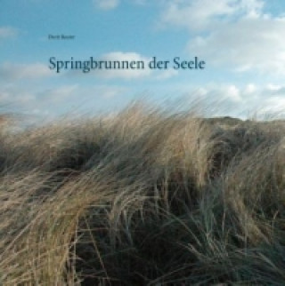 Buch Springbrunnen der Seele Dorit Reuter