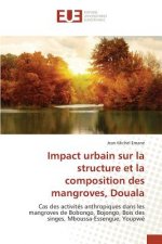 Carte Impact urbain sur la structure et la composition des mangroves, Douala Emane Jean Michel