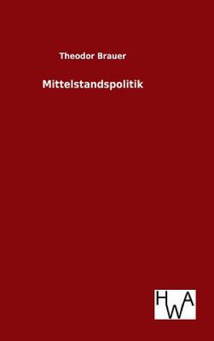 Kniha Mittelstandspolitik Theodor Brauer