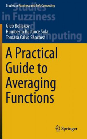 Könyv Practical Guide to Averaging Functions Humberto Bustince Sola
