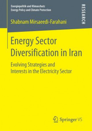 Kniha Energy Sector Diversification in Iran Shabnam Mirsaeedi-Farahani