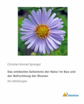 Könyv Das entdeckte Geheimnis der Natur im Bau und der Befruchtung der Blumen Christian Konrad Sprengel
