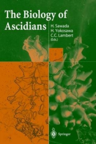 Kniha The Biology of Ascidians C. C. Lambert