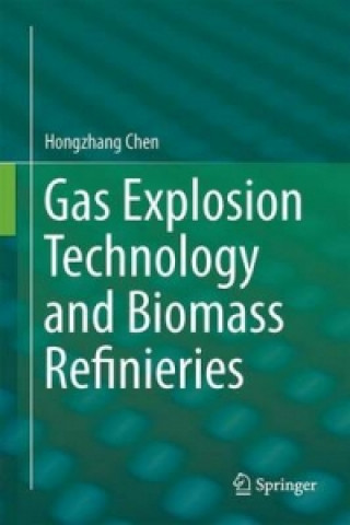 Könyv Gas Explosion Technology and Biomass Refinery Hongzhang Chen