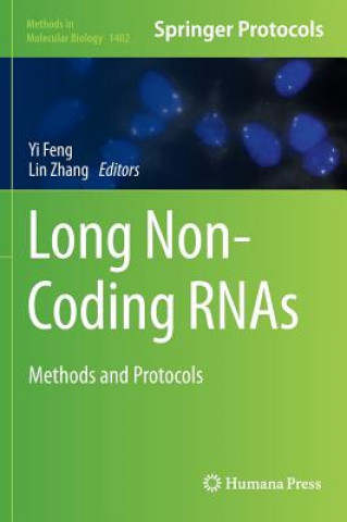 Kniha Long Non-Coding RNAs Yi Feng