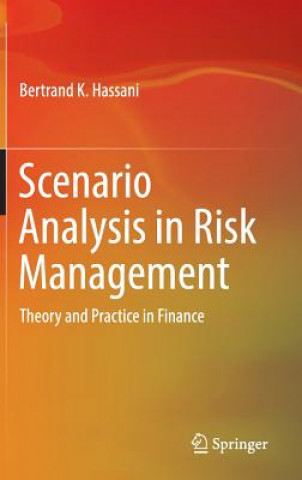 Kniha Scenario Analysis in Risk Management Bertrand Hassani