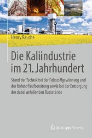 Kniha Die Kaliindustrie im 21. Jahrhundert Henry Rauche