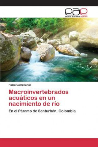 Carte Macroinvertebrados acuaticos en un nacimiento de rio Castellanos Pablo
