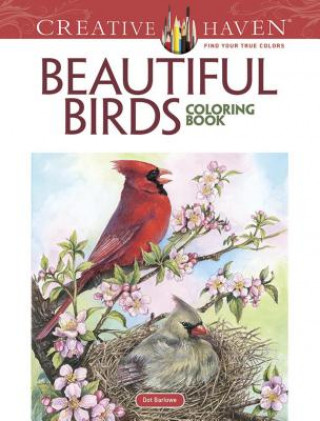Kniha Creative Haven Beautiful Birds Coloring Book Dot Barlowe