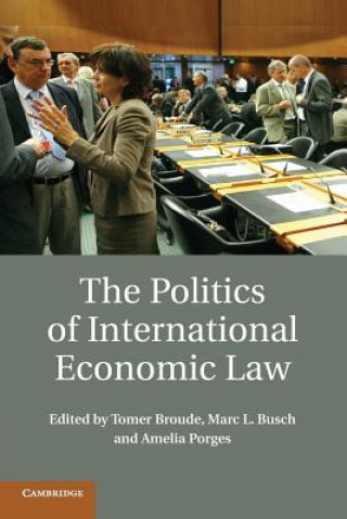Книга Politics of International Economic Law Tomer Broude