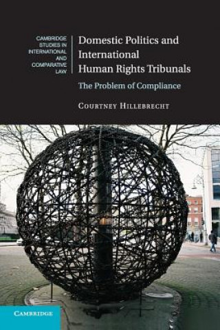 Książka Domestic Politics and International Human Rights Tribunals Courtney Hillebrecht