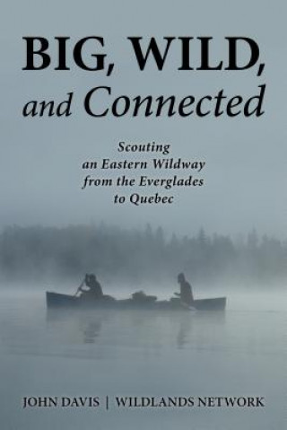 Buch Big, Wild, and Connected John Davis
