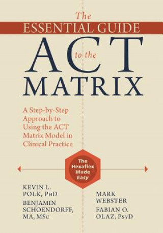 Kniha Essential Guide to the ACT Matrix Kevin L. Polk