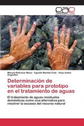 Livre Determinacion de variables para prototipo en el tratamiento de aguas Balcazar Meza Manuel