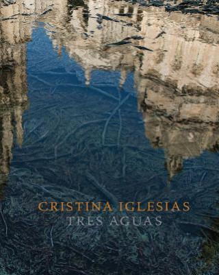 Book Cristina Iglesias: Tres Aguas Beatriz Colomina