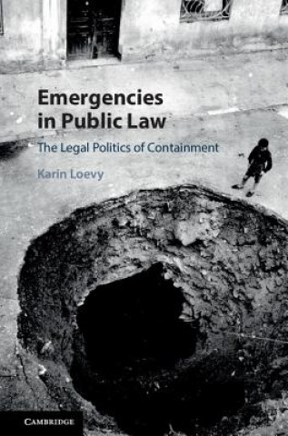 Kniha Emergencies in Public Law Karin Loevy