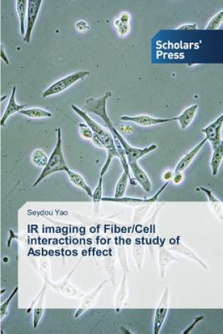 Kniha IR imaging of Fiber/Cell interactions for the study of Asbestos effect Yao Seydou