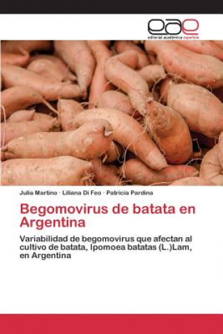 Kniha Begomovirus de batata en Argentina Martino Julia