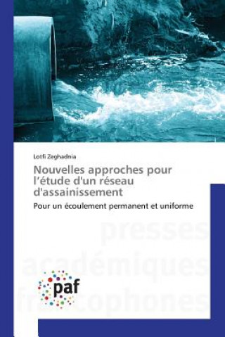 Kniha Nouvelles approches pour l'etude d'un reseau d'assainissement Zeghadnia Lotfi