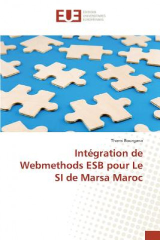 Könyv Integration de Webmethods ESB pour Le SI de Marsa Maroc Bourgana Thami