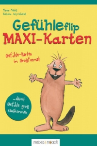 Carte Gefühleflip - MAXI-Karten Marion Mebes