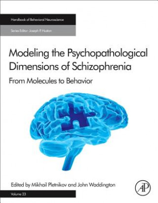 Knjiga Modeling the Psychopathological Dimensions of Schizophrenia Mikhail Pletnikov