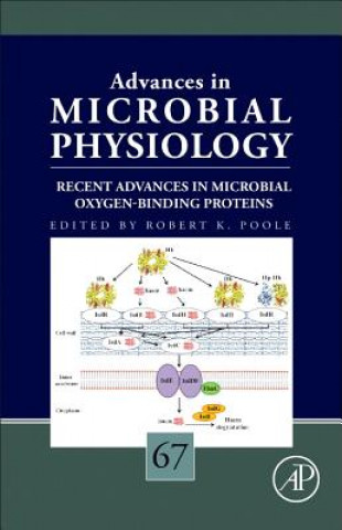 Książka Recent Advances in Microbial Oxygen-Binding Proteins Robert K. Poole