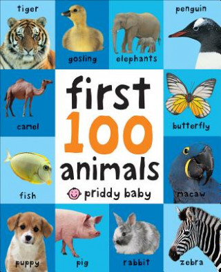 Könyv First 100 Animals Priddy Books