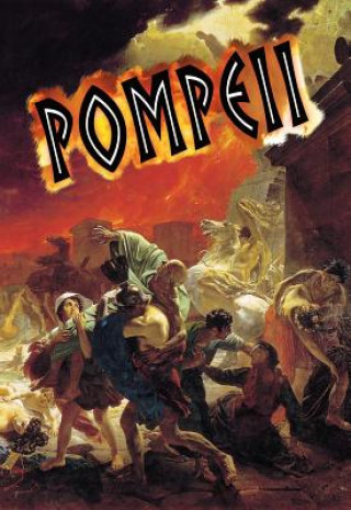 Könyv Pompeii Robin Johnson
