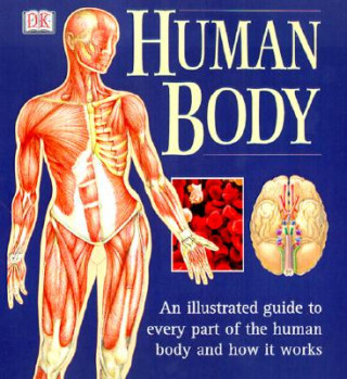 Kniha Human Body Ann Baggaley