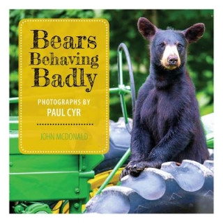 Buch Bears Behaving Badly John McDonald