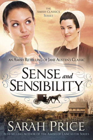 Carte Sense And Sensibility Sarah Price