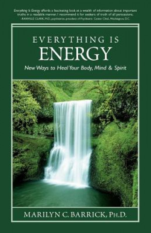 Kniha Everything is Energy Marilyn C Barrick